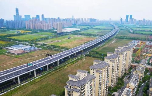 蕭山機(jī)場公路改建工程順利通過竣工質(zhì)量專項(xiàng)驗(yàn)收